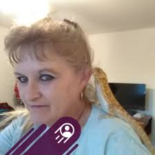 How to get a bearded dragon to eat out of a bowl?