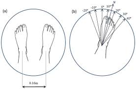 Image result for Foot Progression Angle
