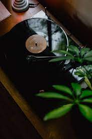 Aesthetics, grunge, vintage, retro, tumblr, tree, landscape. Vintage Music Pictures Download Free Images On Unsplash