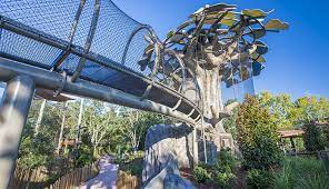 August hours monday open 10 a.m. About The Zoo Jacksonville Zoo And Gardens