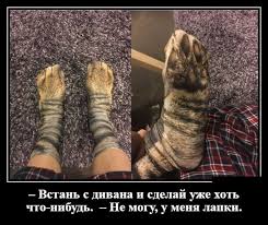 симс играть онлайн бесплатно без регистрации и смс на русском Pin Ot Polzovatelya Ded Pihto Na Doske Mood Smeshnye Produkty Ispanskie Memy Smeshnye Foto Sobak