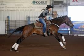 Get big discounts with 15 total saddle fit coupons for december 2020, including 0 promo codes & deals. Shoulder Relief Cinch