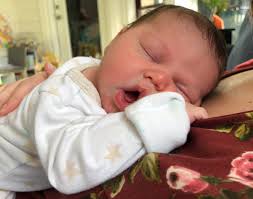 Liz Fedak (@lizfedak)