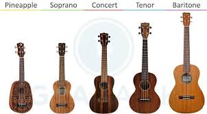 the different ukulele sizes explained gearank