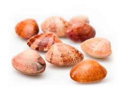 See 3 authoritative translations of almeja in english with example sentences, phrases and audio pronunciations. Almeja Roja Mariscos Daporta