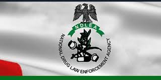 Ndlea recruitment 2020/2021 | application registration form is here at (ndlea portal) ndlea recruitment 2020/2021 application registration form is what you are about to see here. Ndlea Recruitment 2021 2022 Form Is Here Register To Apply For At Www Ndlea Gov Ng Latest News Recruitment Educational Services