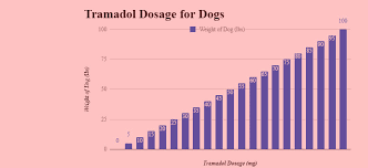 45 Info Doses For Tramadol