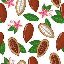 Find & download free graphic resources for floral pattern. Vector Cartoon Seamless Pattern With Theobroma Cacao Or Cacao Tree Exotic Fruits Flowers And Leafs On White Background 2305619 Vector Art At Vecteezy