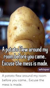 A potato flew around my room » remixes. A Potato Flew Around My Room Before You Came Excuse The Mess Is Made Whisper A Potato Flew Around My Room Before You Came Excuse The Mess Is Made Potato Meme
