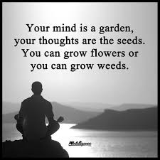 Naturalife On Instagram Quoteoftheday Quote Health Wellness Health And Wellness Quotes Infographic Health Health Quotes