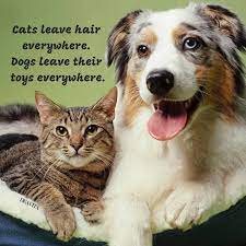 Cats And Dogs Sayings Funny Quotes With Photos Cats Dogs Funny Pets Quotes Dog Quotes Pet Quotes Dog Funny Animal Quotes