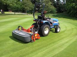 Grass Scarify Wie Und Wann Garten 2018 Backyard Landscaping Garden Lawn Mower