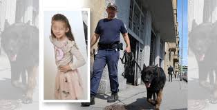 Sie identifizierten die leiche ihrer toten tochter am sonntag in wien. Mord An Hadishat 7 Es War Der Nachbar Wien Heute At