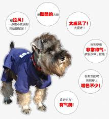 狗狗衣服秋冬泰迪衣服小狗吉娃娃比熊博美宠物衣服四脚服装冬装 tmall com天猫 shopping