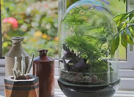 Although any weirdly shaped jars work for a closed terrarium, the size, the shape, and the size of the opening of the containers make a difference. Learn The Difference Between A Closed Terrarium Open Terrarium