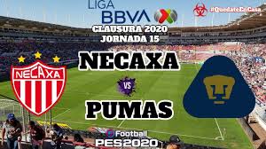Click on average odds to add match to your selections! Pes 2020 Necaxa Vs Pumas Jornada 15 Liga Mx Gameplay Pc Youtube
