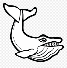 Coloring pics 1 clip art library. Free Clipart Of A Whale Gambar Ikan Paus Hd Hitam Putih Png Download 1121942 Pinclipart