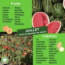 Calendrier Des Fruits Et Legumes Du Mois De Juillet Fruits Et Legumes De Saison Fruits Et Legumes Legumes De Saison