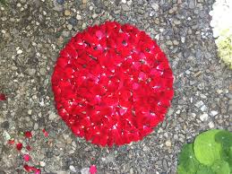 Pretty little thing basics are on sale. Nature Art For Kids Crafts With Flowers Leaves And Rocks Kiwico