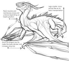 Certain areas on its body have different purposes and therefore, different needs. How To Design Fantastical Dragons With A Touch Of Realism Art Rocket