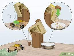 How To Build A Homemade Rube Goldberg Machine: 10 Steps