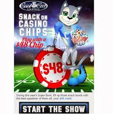 Cool Cat Casino Vip Bonuses Nabble Casino Bingo Casino Casino Bonus Bingo