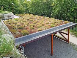 Garage Oder Carport Tipps Bautipps De Carports Dachbegrunung Flachdach Begrunung