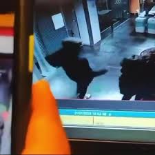 Il rapimento della neonata a Cosenza: il video delle telecamere di  sorveglianza