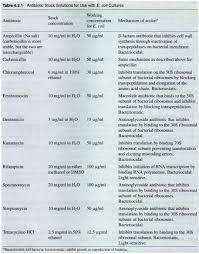Working Concentration With Rifampicin Bacteria Escherichia Coli Bnid 108852