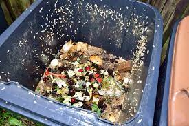 We did not find results for: How To Get Rid Of Maggots In The Bin Warrington Liverpool Widnes And St Helens Wheelie Bin Cleaning Service