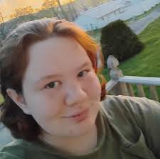 Knight manager game progress and gold earning strategies