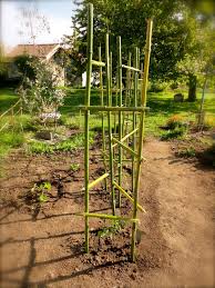 Ce tuteur pour tomates en spirale est idéal pour soutenir les plants. Tuteur Tomate Jardin Permaculture Idee Amenagement Jardin Jardin Potager