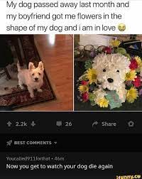 Check spelling or type a new query. My Dog Passed Away Last Month And My Boyfriend Got Me Flowers In The Shape Of My Dog And I Am In Love Youcalledqllfm That Lam Now You Get To