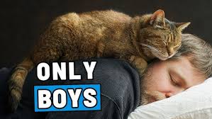 Catification Book by Jackson Galaxy and Kate Benjamin Arrives for Review