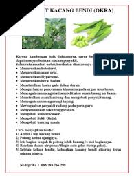 ••• tahukah anda akan khasiat bendi ketika hamil? Kacang Lendir In English