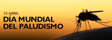 El paludismo humano está causado por cuatro especies diferentes del parásito plasmodio: Dia Mundial Del Paludismo Notiexpos Y Congresos