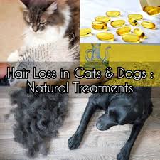 Pin On Http Naturalremedies1 Com
