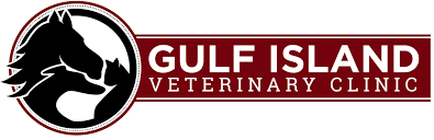 You can see how to get to island pet hospital on our website. Gulf Island Veterinary Clinic