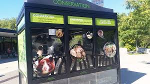 Ada accessible parking stalls are available in all zoo lots. Travel Thursday Woodland Park Zoo An Historian About Town