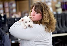 Throw-away' dogs find homes in Maine