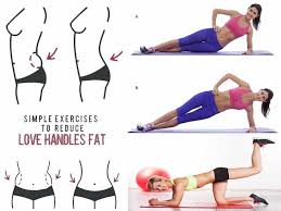 15 Best Exercises To Reduce Love Handles Fast At Home In 2020 Love Handle Workout Love Handles Best Love Handle Workout