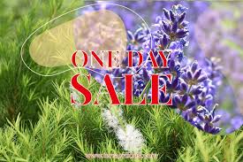 pin by terra crudus 生活原機on 產品介紹in 2021 one day sale neon signs day