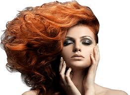 Beauty, Hair & Health in Monaco