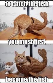 How To Treat A Woman 7 Relationship Advice You Need To Know Date Night Ideas Funny Animal Pictures Cute Animal Memes Funny Animals