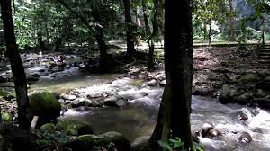 It is also known as congkak park and resort and is managed by tourism selangor. Sungai Congkak Recreational Forest Chongkak Park And Resort