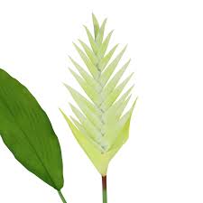 Jordan a tropical mix of orange birds paradise pin. Artificial Silk Flowers Real Touch Large Tropical Heliconia Flower Stem Wedding Flowers Petals Garlands Wedding Supplies