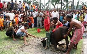 Animal Sacrifice In Hinduism True Hindu