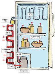 The temperature will give you an idea of what adjustments need to be made to keep your refrigerator running at top form. How To Inspect The Refrigerator Internachi