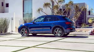 Image result for Navarra Blue 2025 Q4