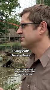How comfortable would you be getting close to a grizzly bear? 👀😩 #bear  #brownbear #louistheroux #caged #animal #pet #wchannel #uktvplay